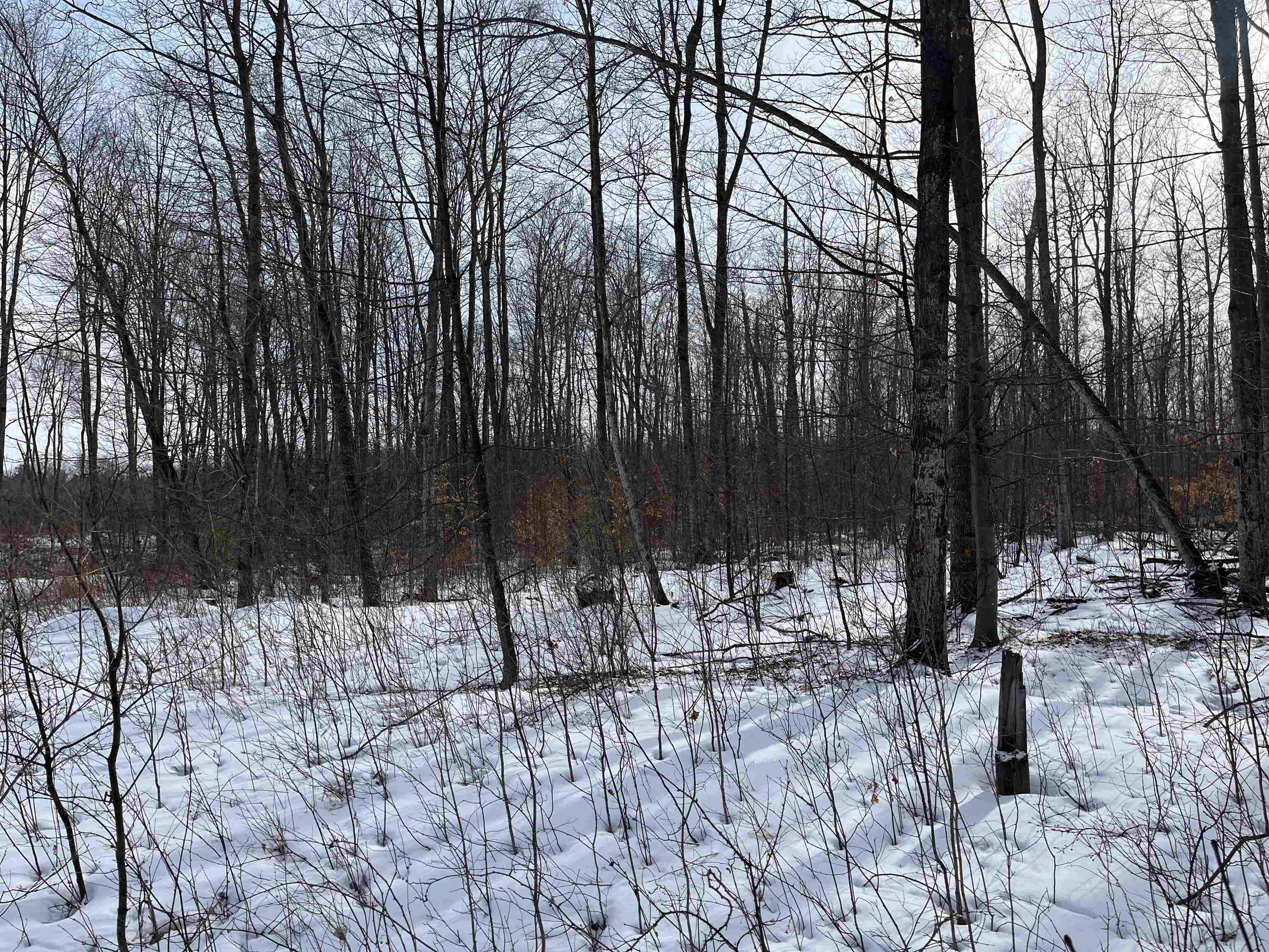 3 King Road, Unit LOT: 3 Benzonia, MI 49616 - Photo 13 of 14
