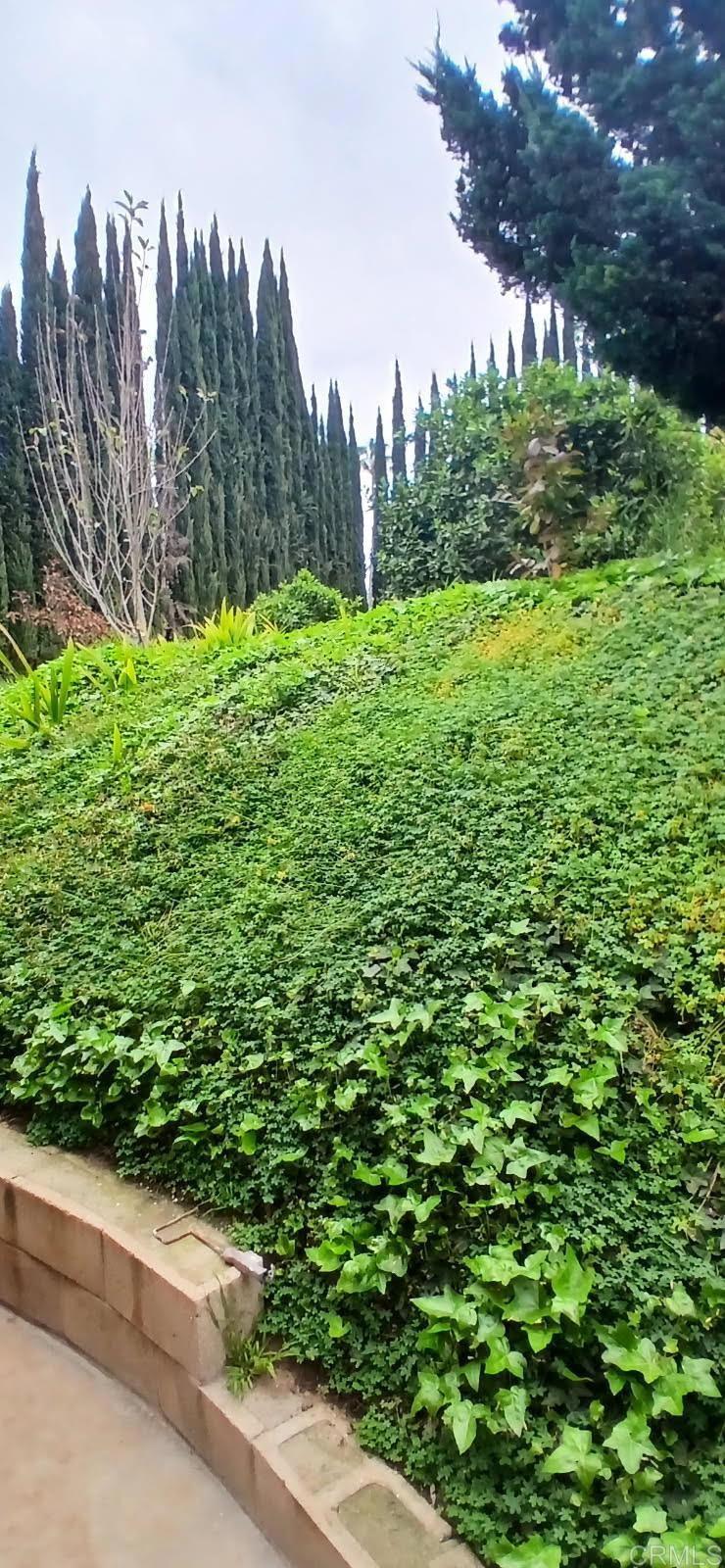 1653 Brandon Way El Cajon, CA 92021 - Photo 8 of 9