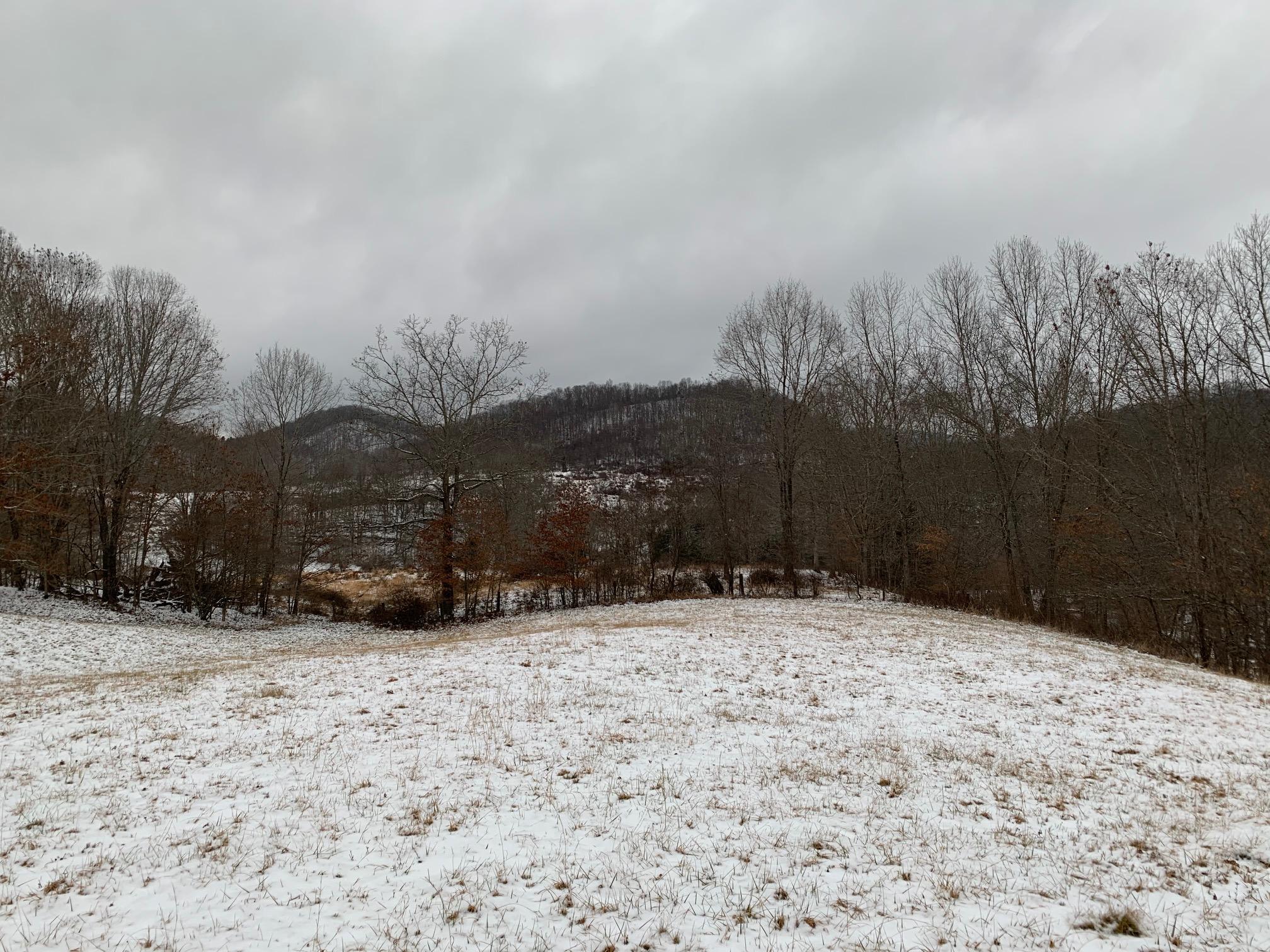 Ridge Road Williamsburg, WV 24991 - Photo 10 of 10 Gallery Image 10