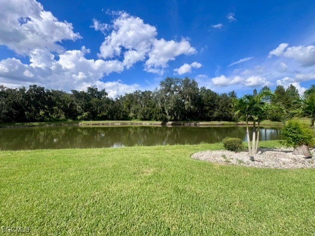 7121 Hatpin Loop Wesley Chapel, FL 33545 - Photo 12 of 24 a view of a lake with a city