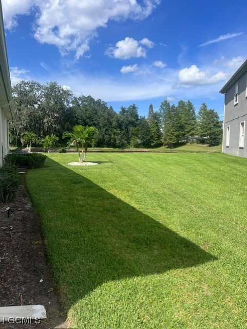 7121 Hatpin Loop Wesley Chapel, FL 33545 - Photo 23 of 24 a view of a big yard with a large tree