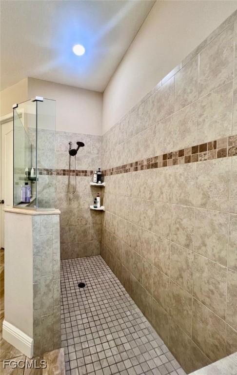 7121 Hatpin Loop Wesley Chapel, FL 33545 - Photo 7 of 24 a bathroom with a shower