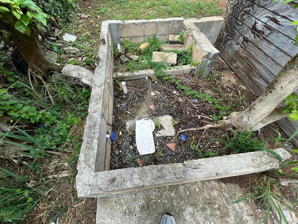 5 Calle Barceloneta, PR 00617 - Photo 37 of 40 a backyard of a house with lots of green space