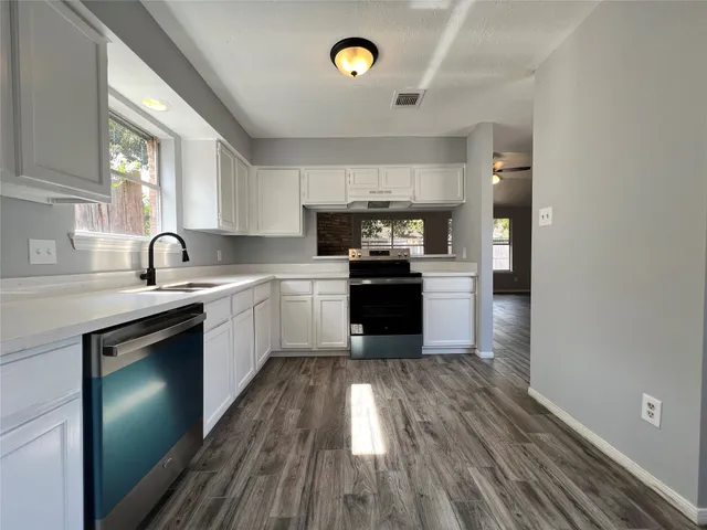 a kitchen with a sink cabinets and stainless steel appliances