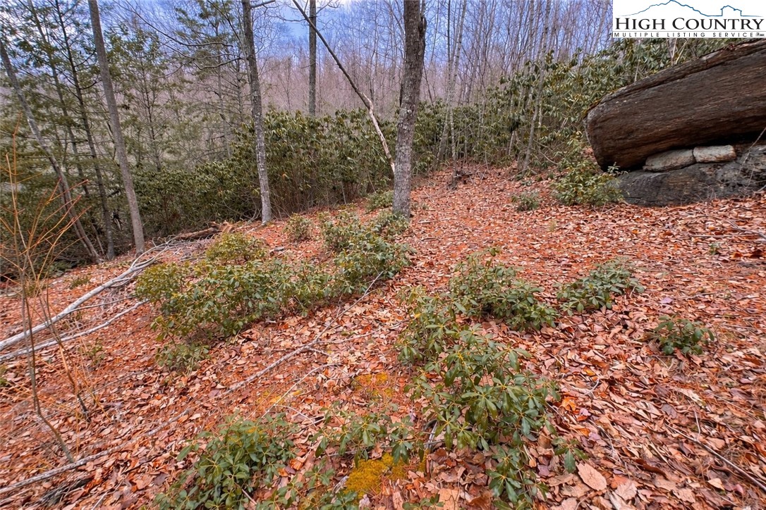 Lot 92 Beaver Dam Road Elk Park, NC 28622 - Photo 2 of 7 a backyard of a house