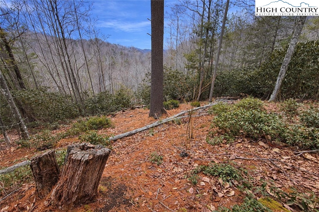 Lot 92 Beaver Dam Road Elk Park, NC 28622 - Photo 3 of 7 a view of a backyard of the house