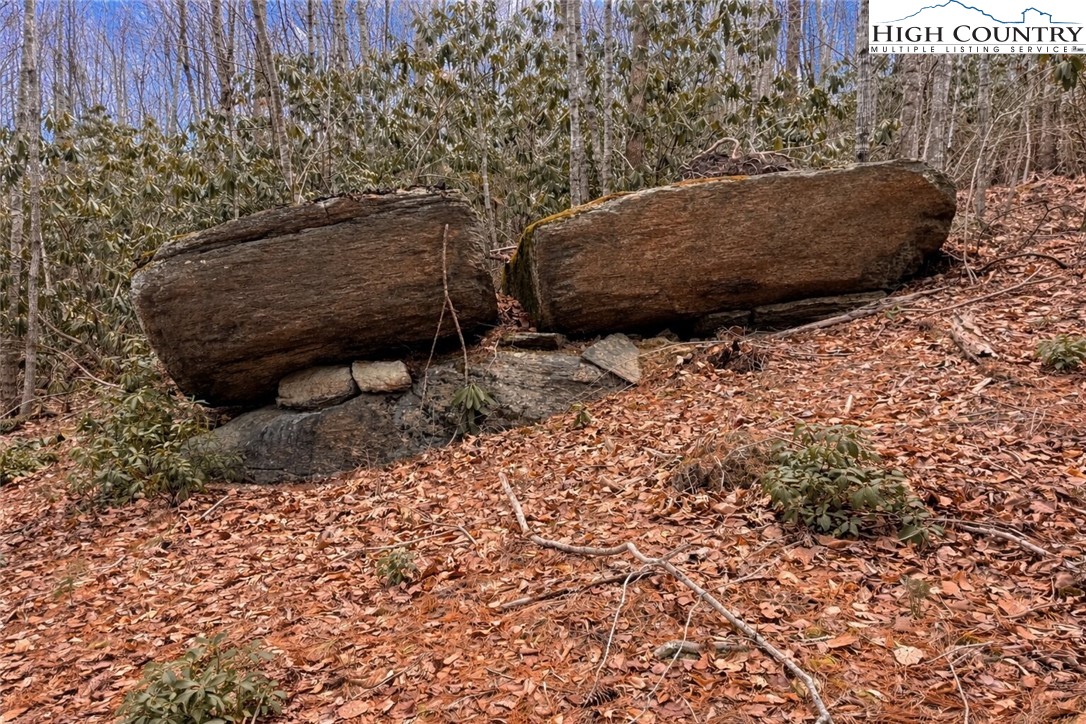 Lot 92 Beaver Dam Road Elk Park, NC 28622 - Photo 4 of 7 a backyard of a house with large trees and plants