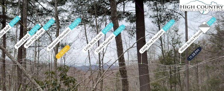 Lot 92 Beaver Dam Road Elk Park, NC 28622 - Photo 5 of 7 a view of a palm trees