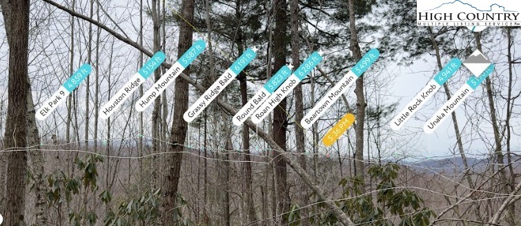 Lot 92 Beaver Dam Road Elk Park, NC 28622 - Photo 7 of 7 a view of outdoor space with a street