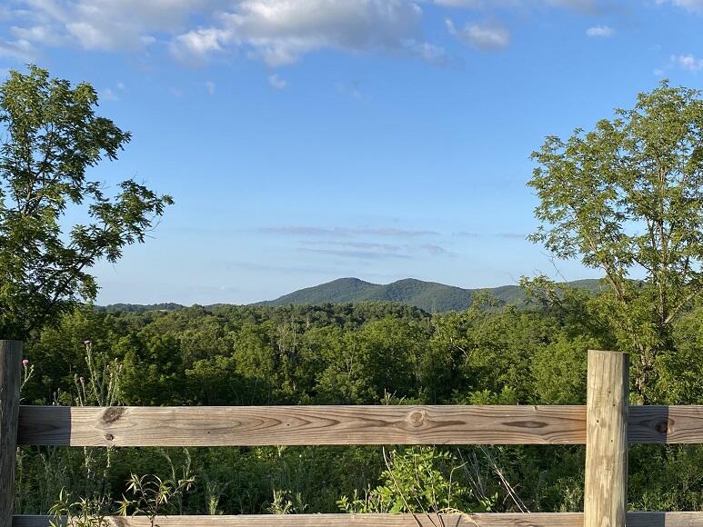 0 Rustic Ridge Road Riner, VA 24149 - Photo 20 of 40 a view of an outdoor space with mountain view