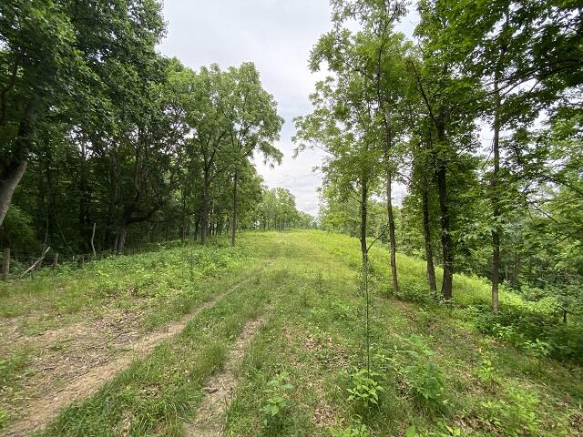 0 Rustic Ridge Road Riner, VA 24149 - Photo 26 of 40 a view of outdoor space with green field and trees all around