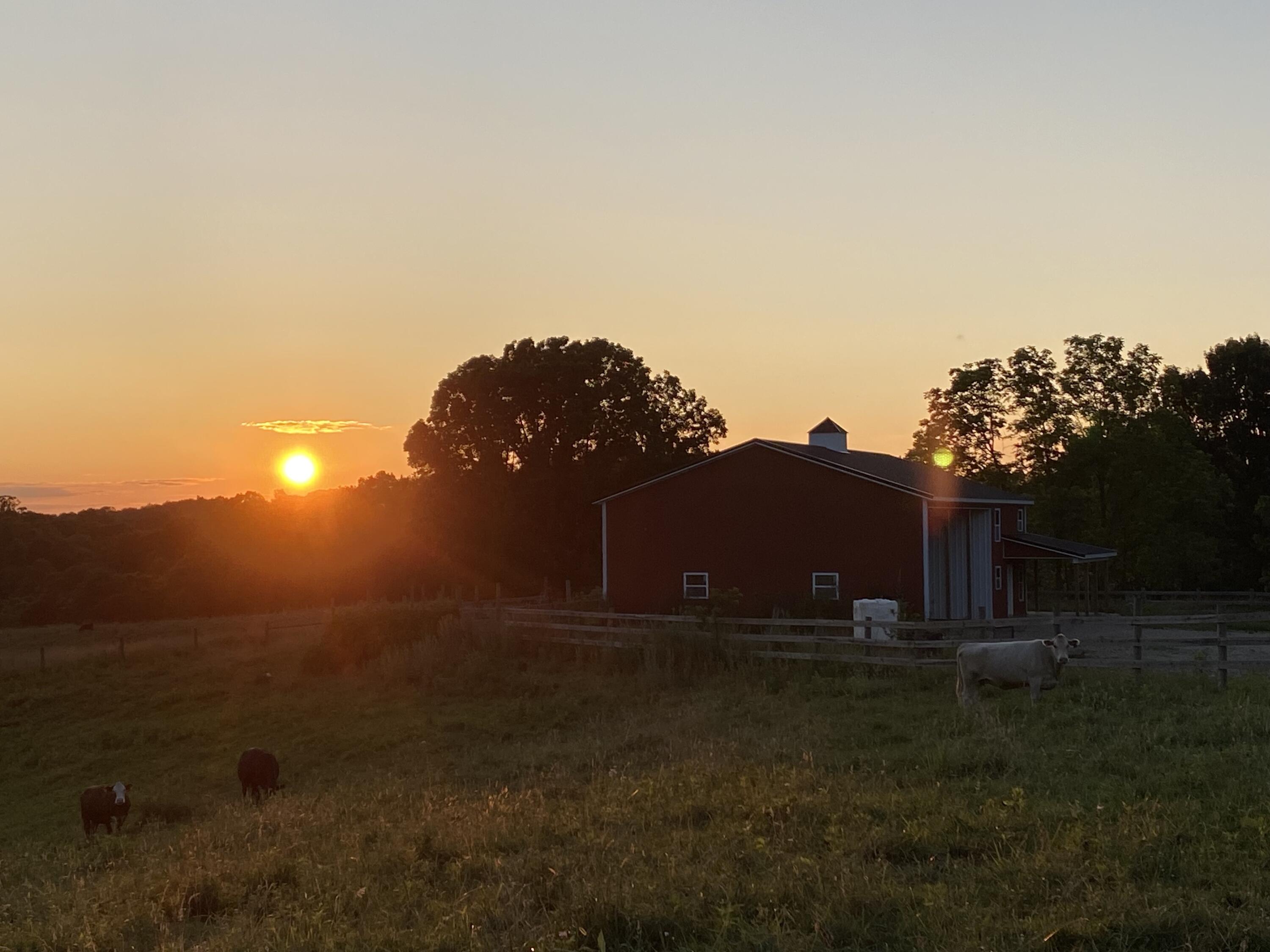 0 Rustic Ridge Road Riner, VA 24149 - Photo 40 of 40 a view of outdoor space and yard