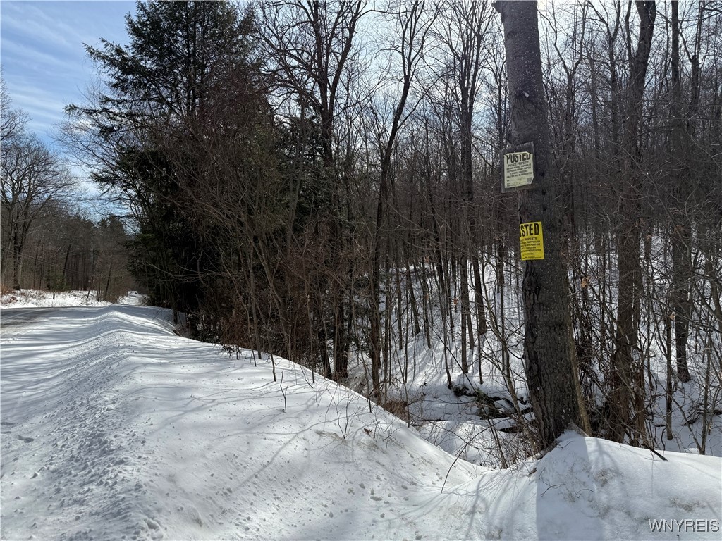 Cloverleaf Road Belfast, NY 14711 - Photo 1 of 1 Gallery Image 1
