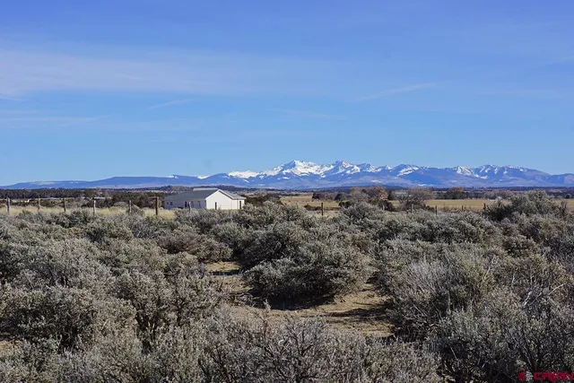 a view of beach and ocean