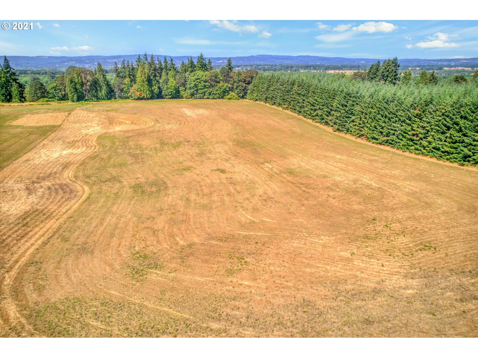 0 Northwest 67th Avenue Ridgefield, WA 98642 - Photo 13 of 20 a view of a yard with an outdoor space