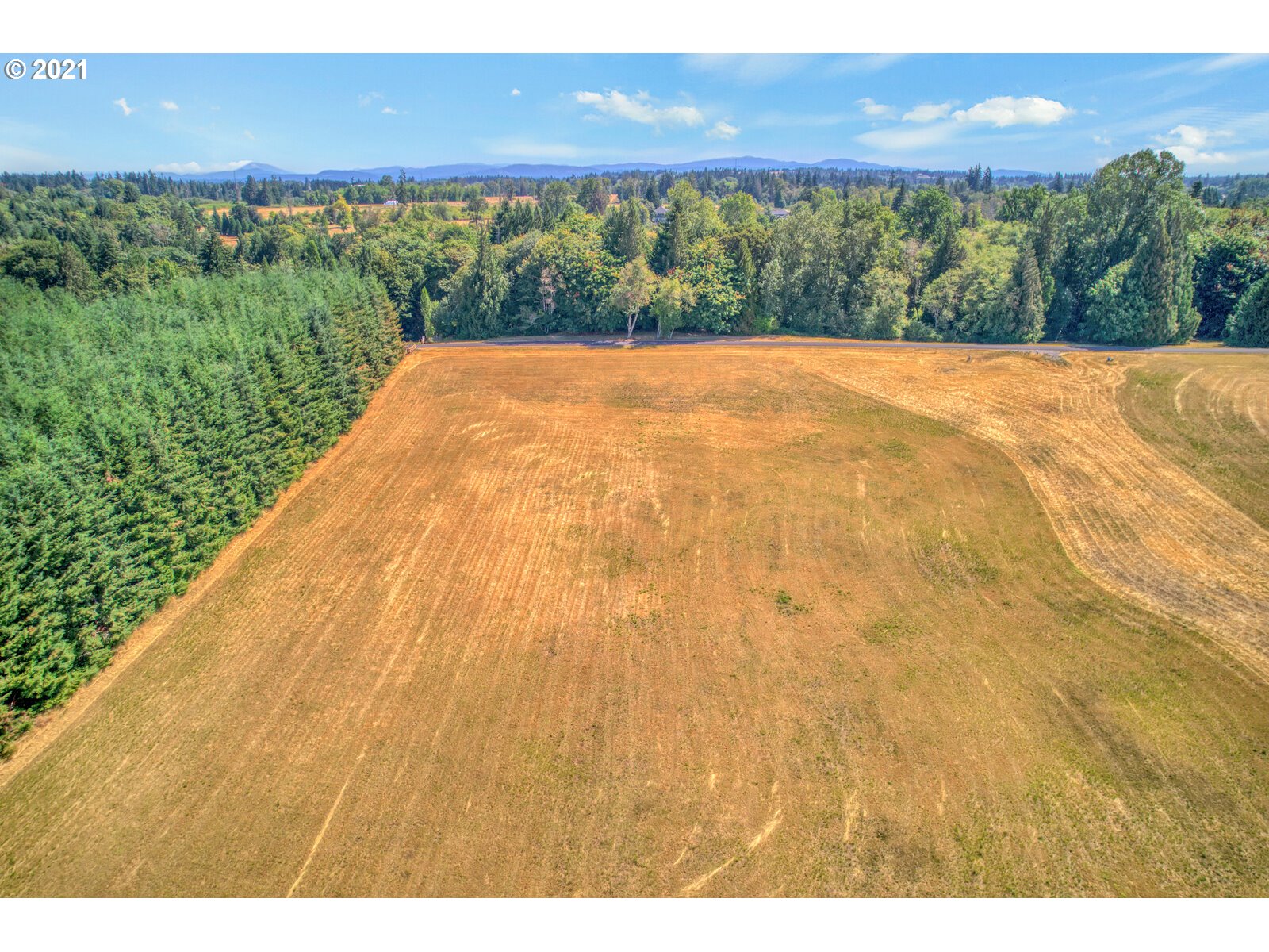 0 Northwest 67th Avenue Ridgefield, WA 98642 - Photo 7 of 20 a view of a yard with an outdoor space