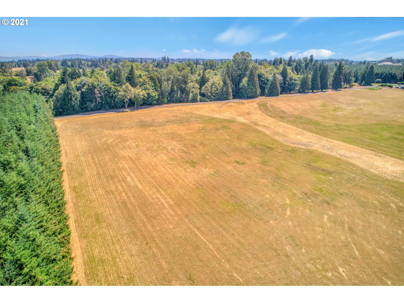 0 Northwest 67th Avenue Ridgefield, WA 98642 - Photo 8 of 20 a view of a yard with an outdoor space