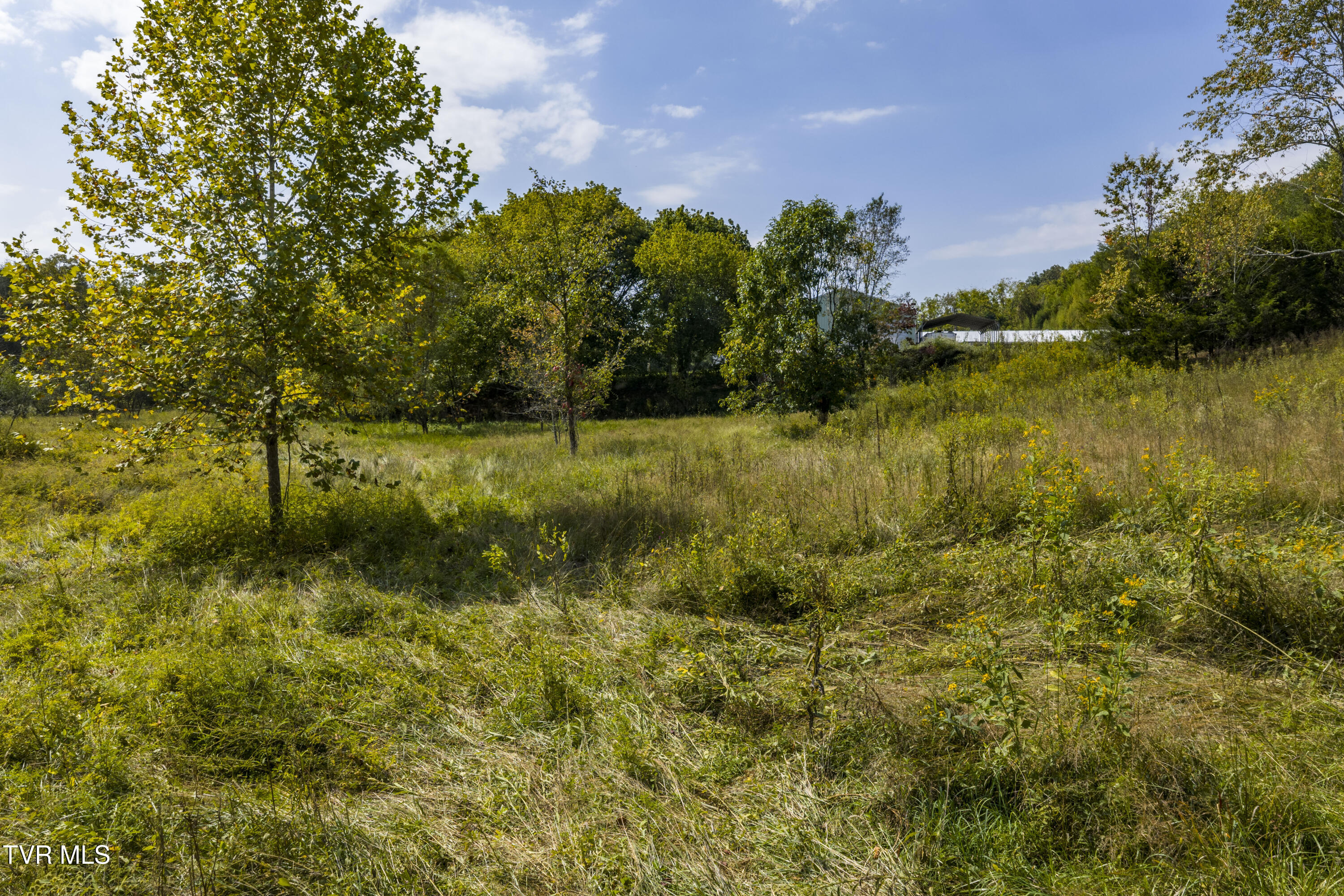 371 South Austin Springs Road Johnson City, TN 37601 - Photo 27 of 29 Austin-Aerials-27