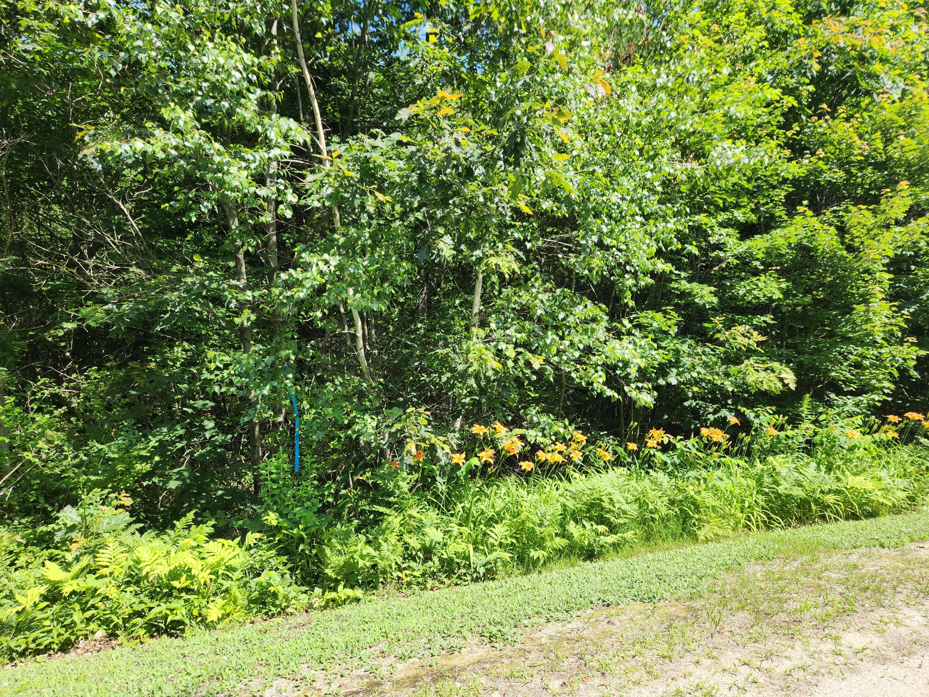 60 Old Portland Road Auburn, ME 04210 - Photo 1 of 3 20230705_103201