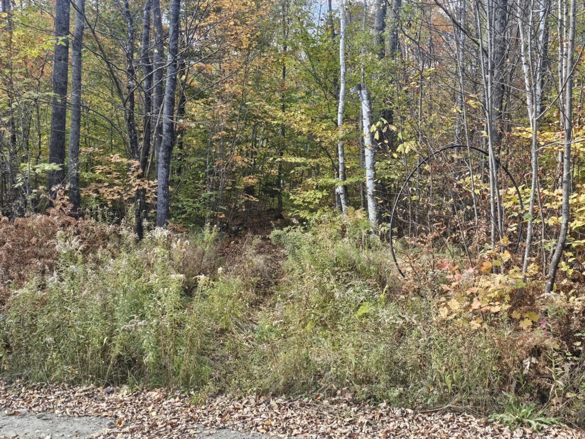 5 Map Road Phillips, ME 04966 - Photo 6 of 13