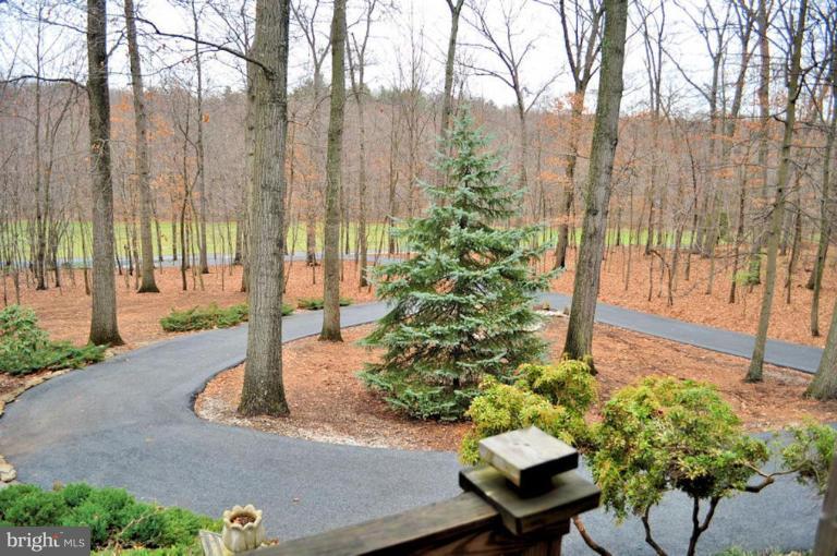 2780 Duvall Road Woodbine, MD 21797 - Photo 9 of 30 View from Unit