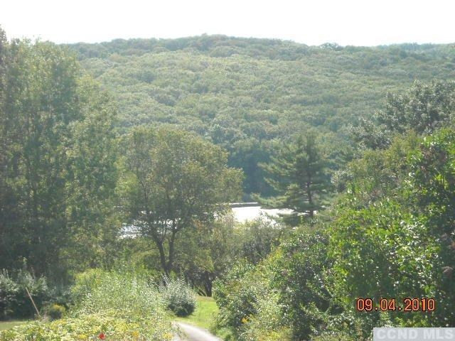 212-10 County Rte 27 Copake, NY 12516 - Photo 7 of 10 Photo 7