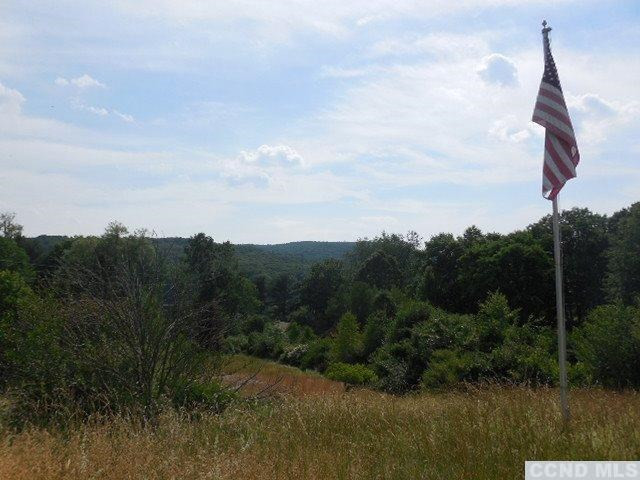 212-10 County Rte 27 Copake, NY 12516 - Photo 8 of 10 Photo 8