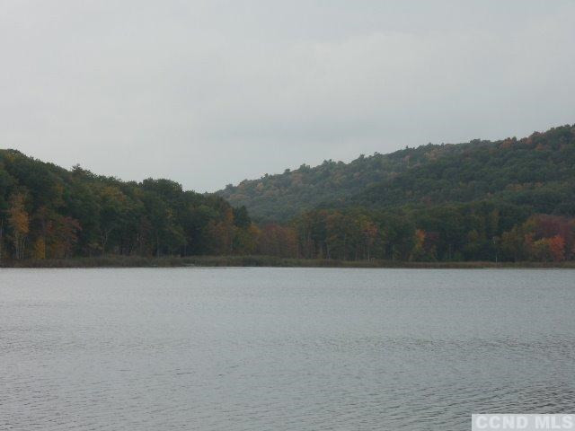 212-10 County Rte 27 Copake, NY 12516 - Photo 9 of 10 Photo 9