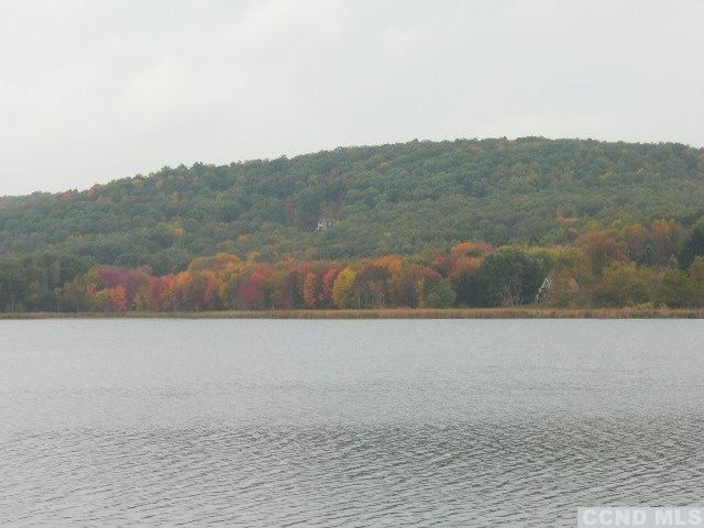 212-10 County Rte 27 Copake, NY 12516 - Photo 10 of 10 Photo 10