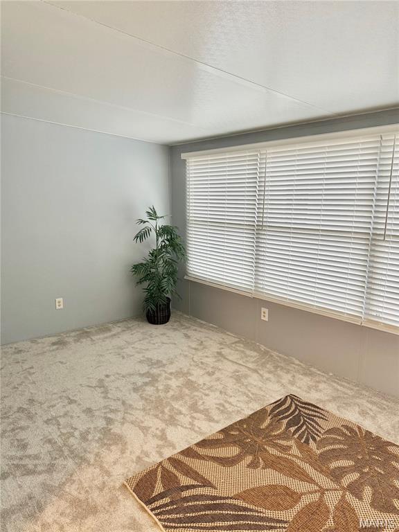 3716 Adie Road St. Ann, MO 63074 - Photo 25 of 45