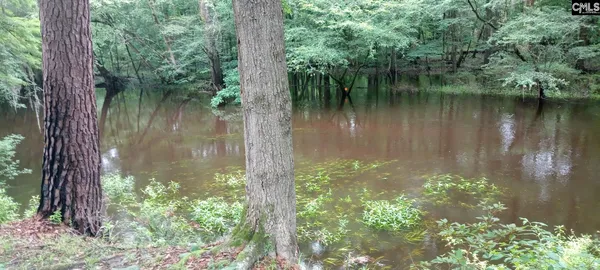$169,500 | 474 Shot's Trl Road, Branchville, SC 29432