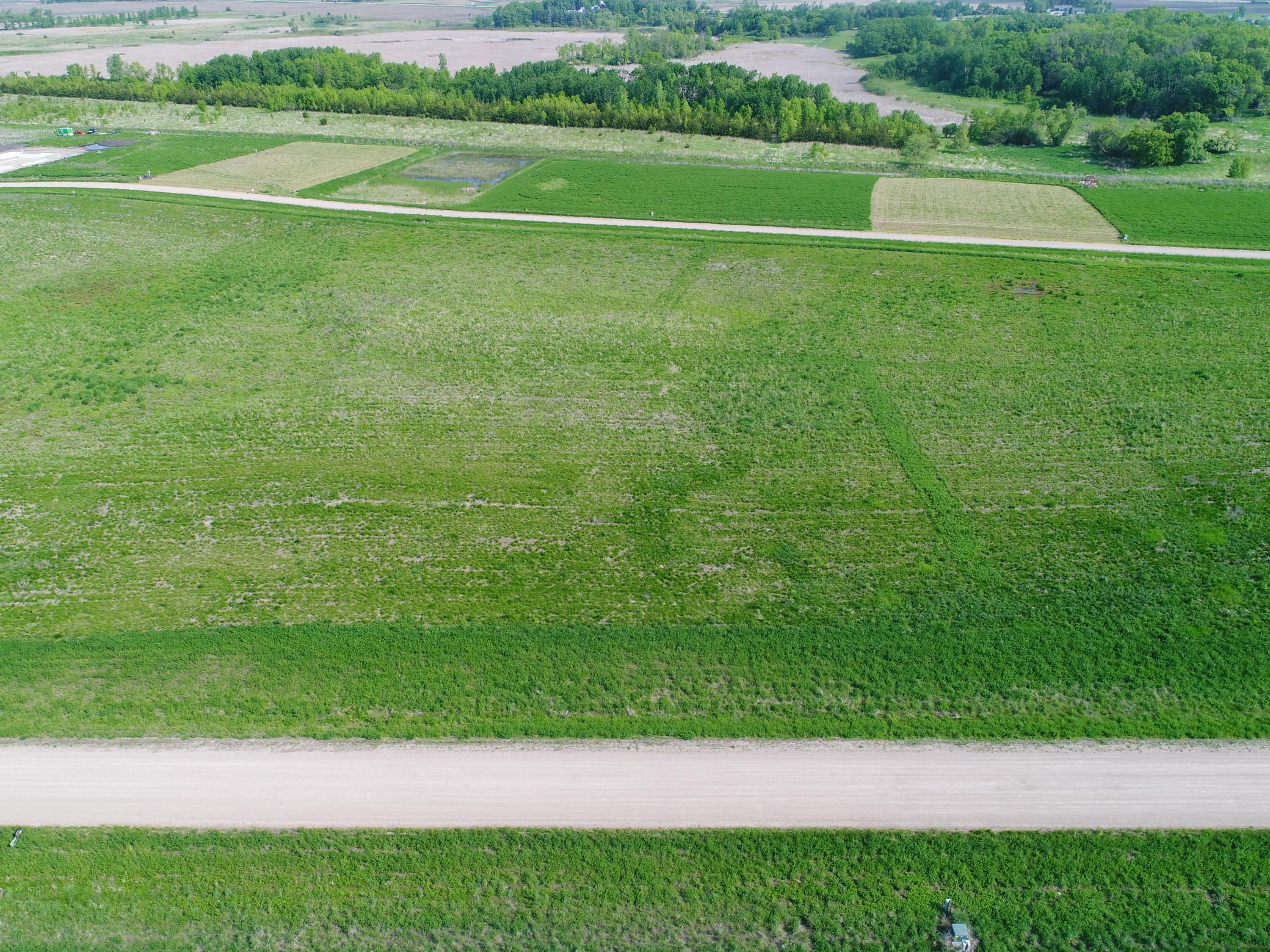 6 Longview Circle Osakis, MN 56360 - Photo 2 of 10