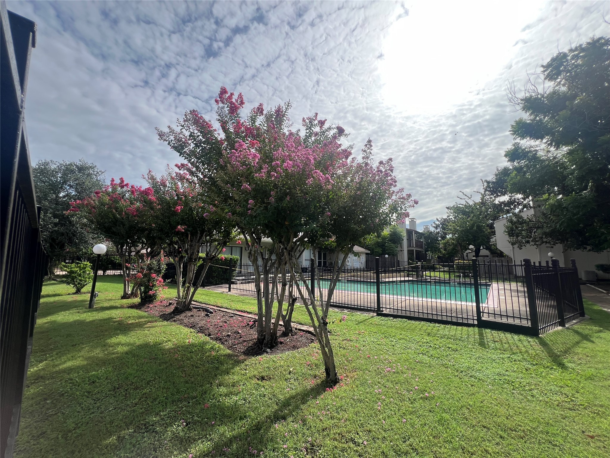 3837 Tanglewilde Street, Unit 3837 Houston, TX 77063 - Photo 12 of 12 a view of a park