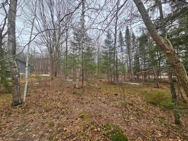 $130,000 | North Lake Road, Long Lake, WI 54542