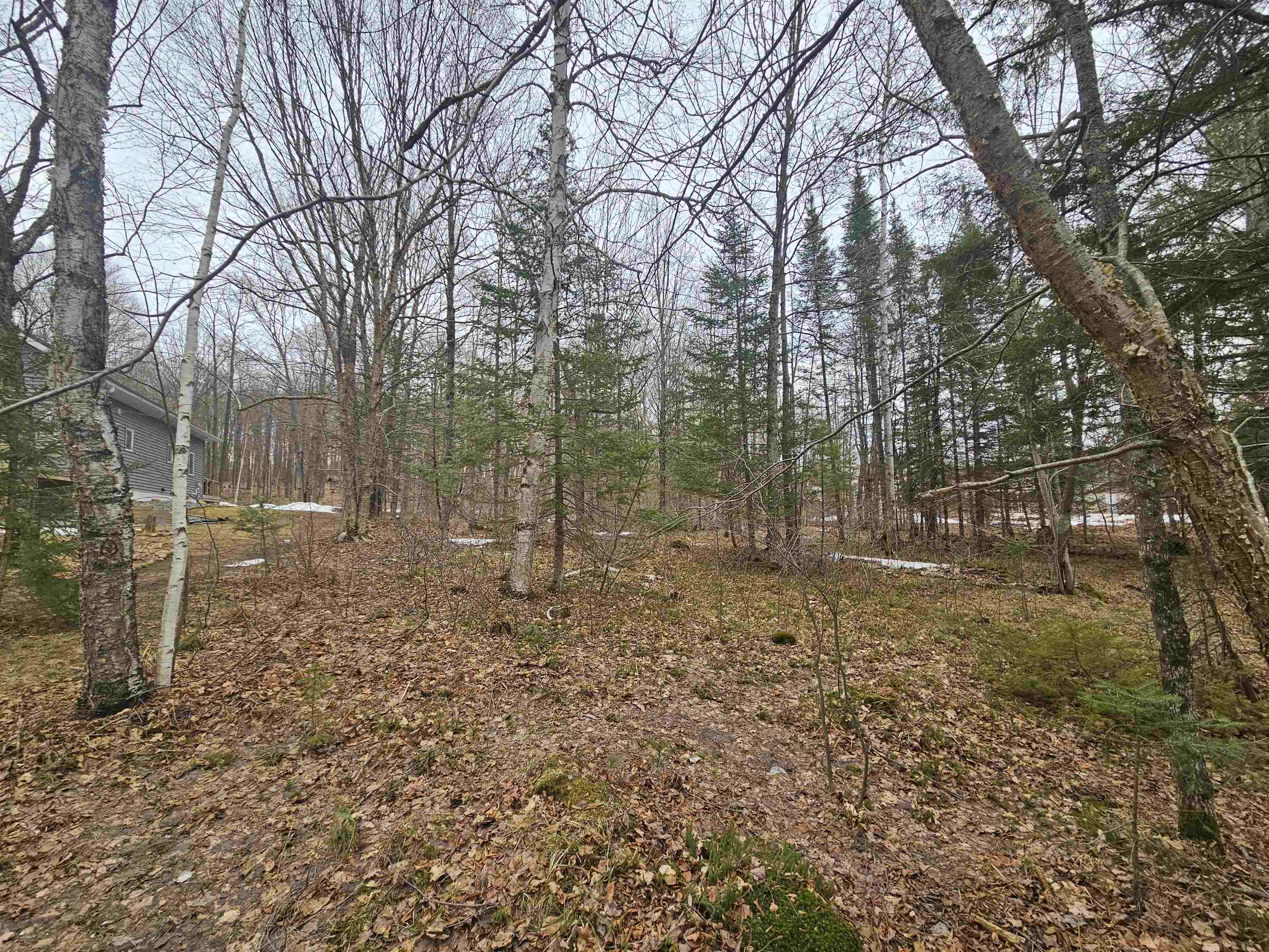 North Lake Road Long Lake, WI 54542 - Photo 4 of 15