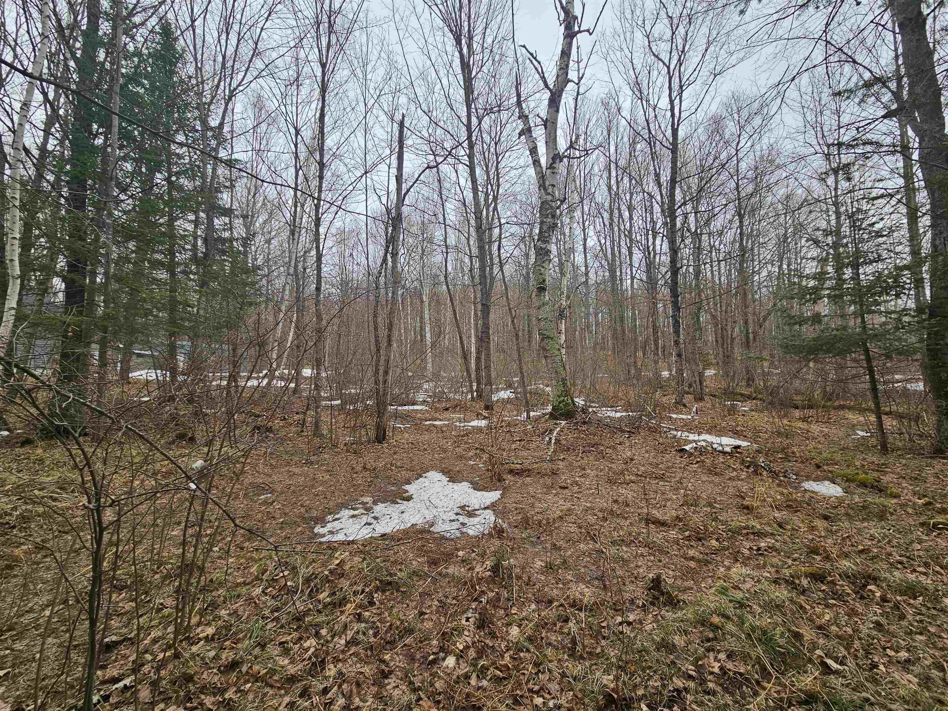 North Lake Road Long Lake, WI 54542 - Photo 5 of 15