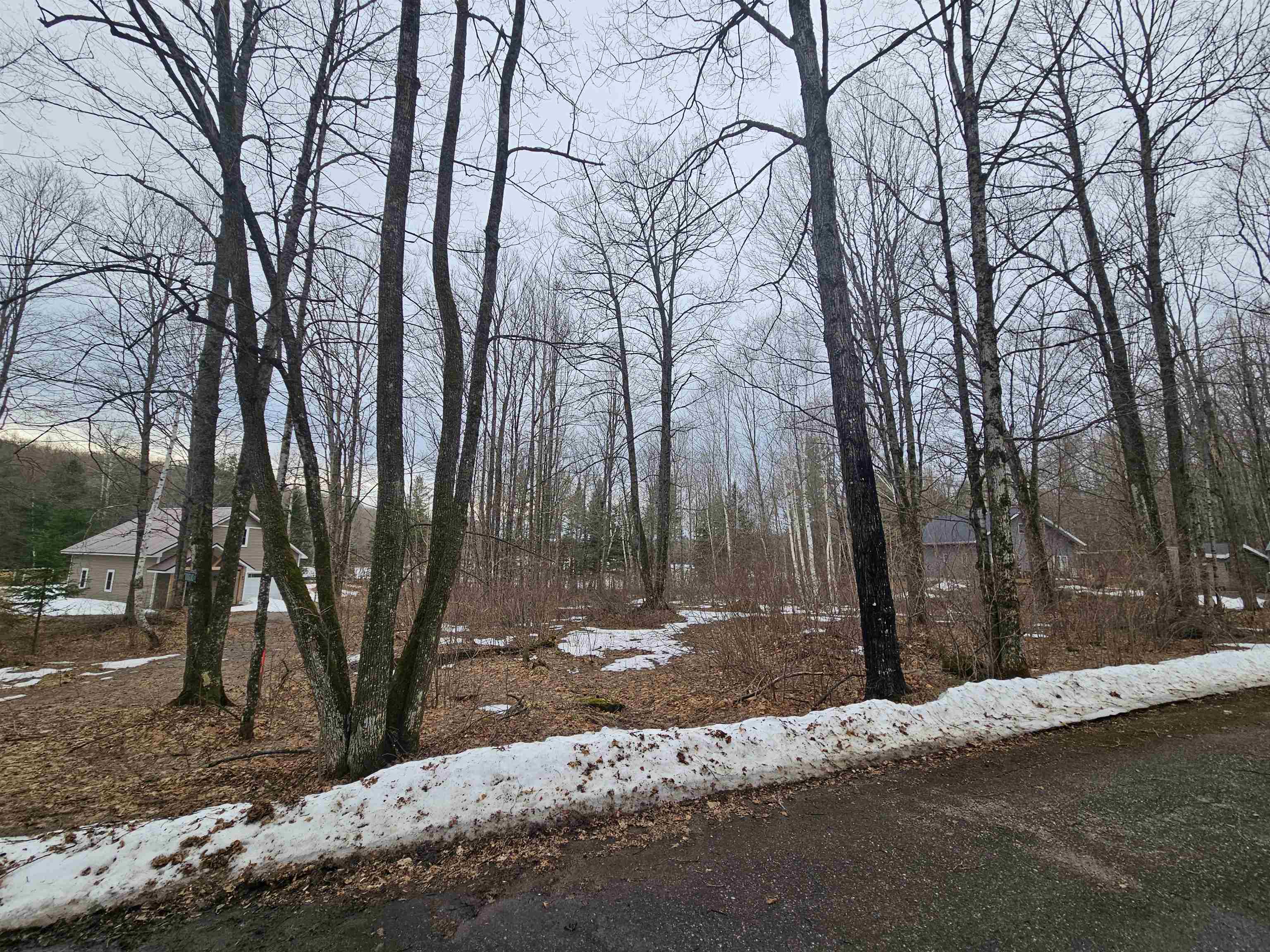 North Lake Road Long Lake, WI 54542 - Photo 6 of 15