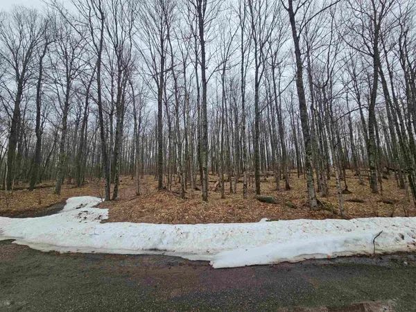 $130,000 | North Lake Road, Long Lake, WI 54542