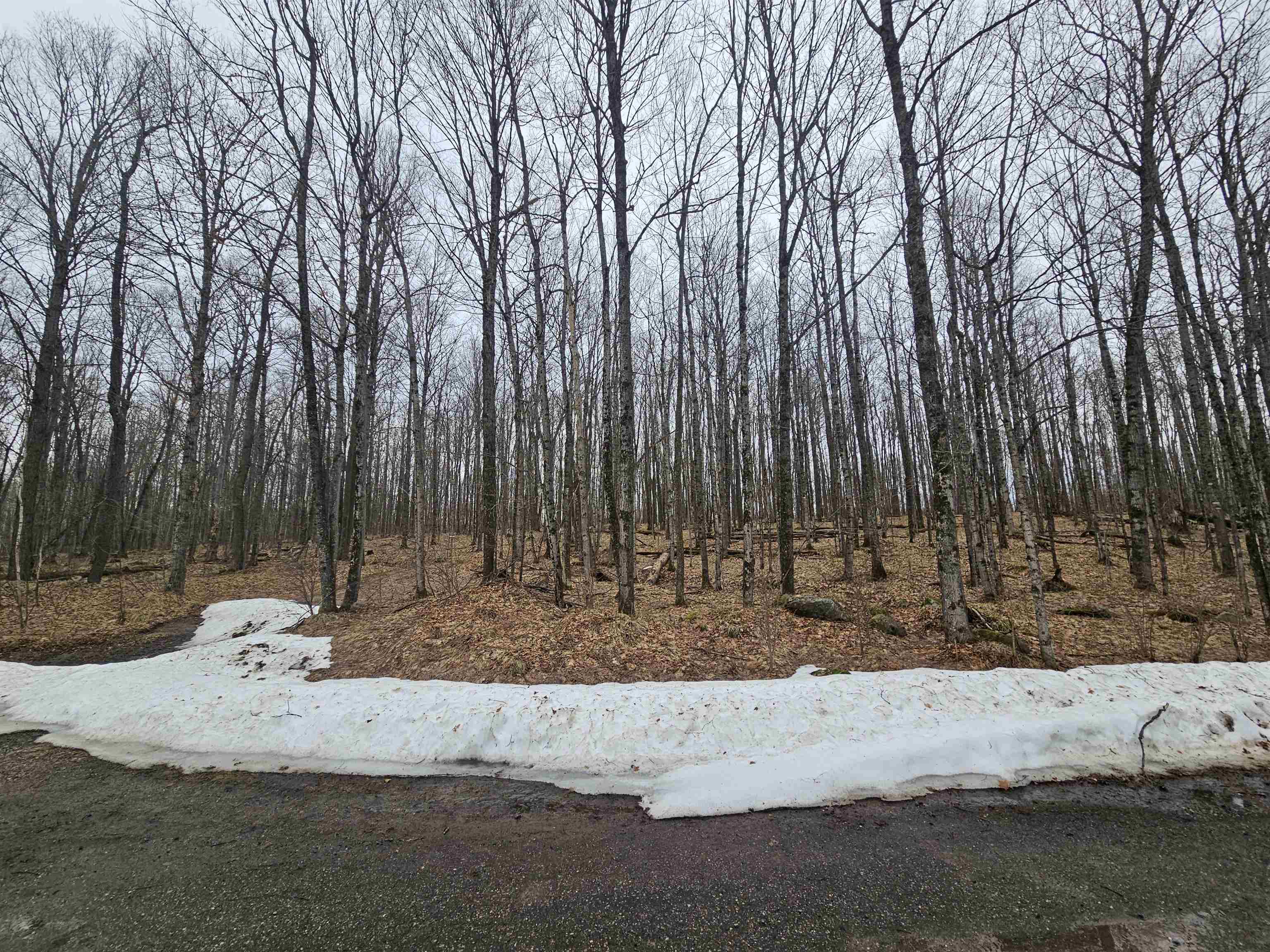 North Lake Road Long Lake, WI 54542 - Photo 7 of 15