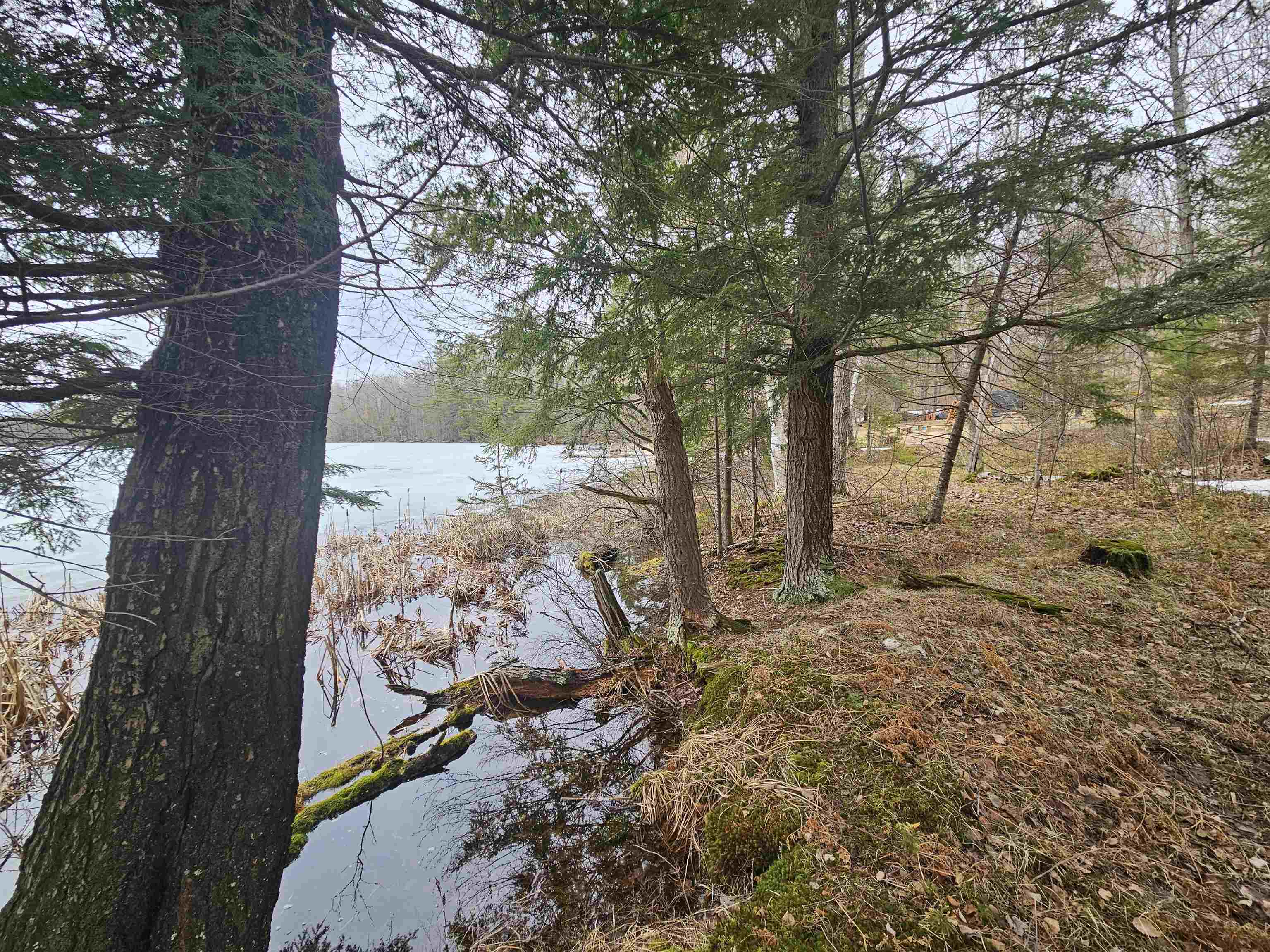 North Lake Road Long Lake, WI 54542 - Photo 9 of 15
