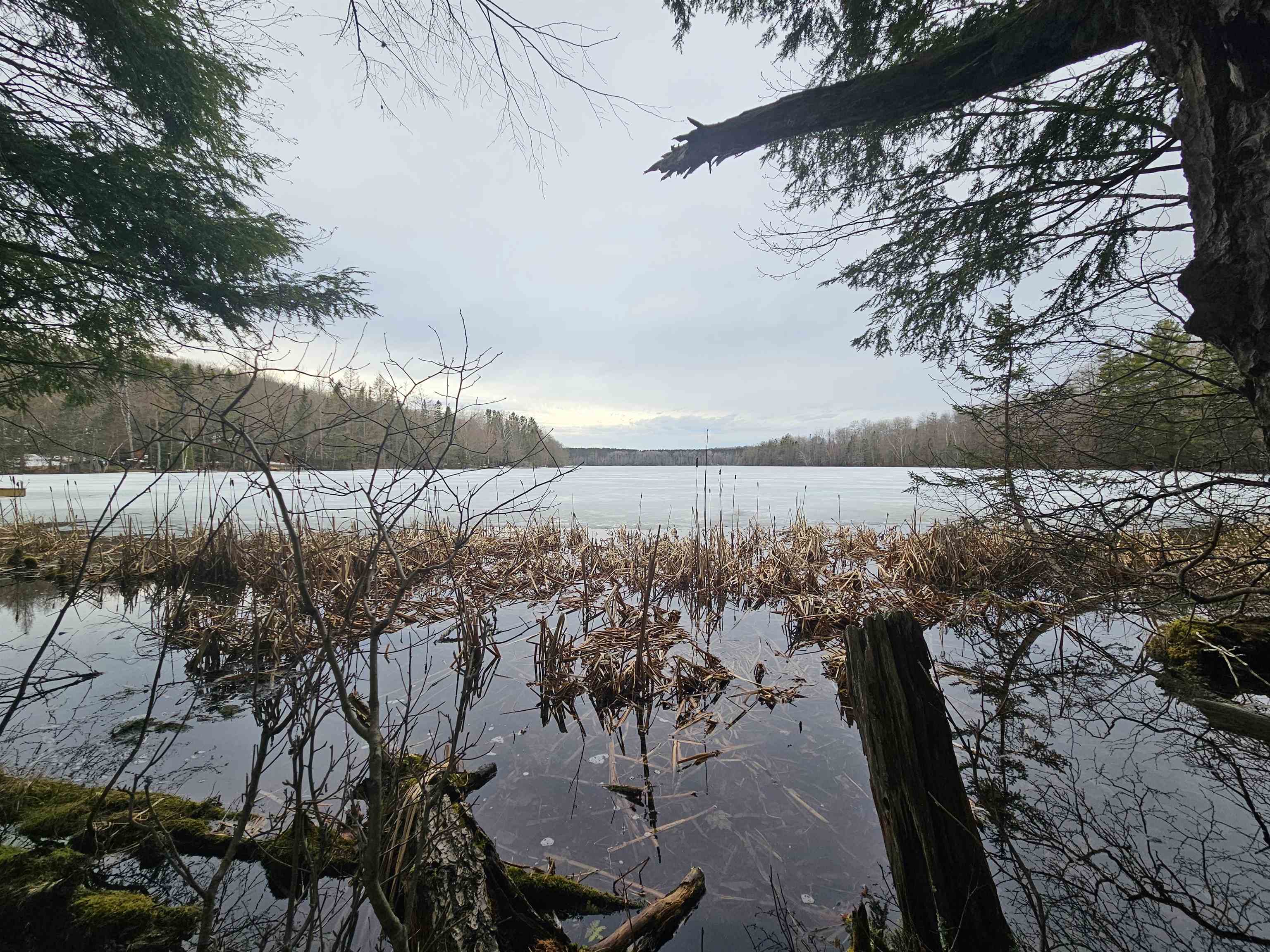 North Lake Road Long Lake, WI 54542 - Photo 10 of 15