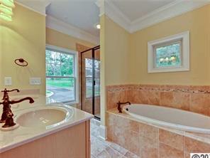 407 Spring Street, Unit 407 Davidson, NC 28036 - Photo 7 of 15 Gallery Image 7