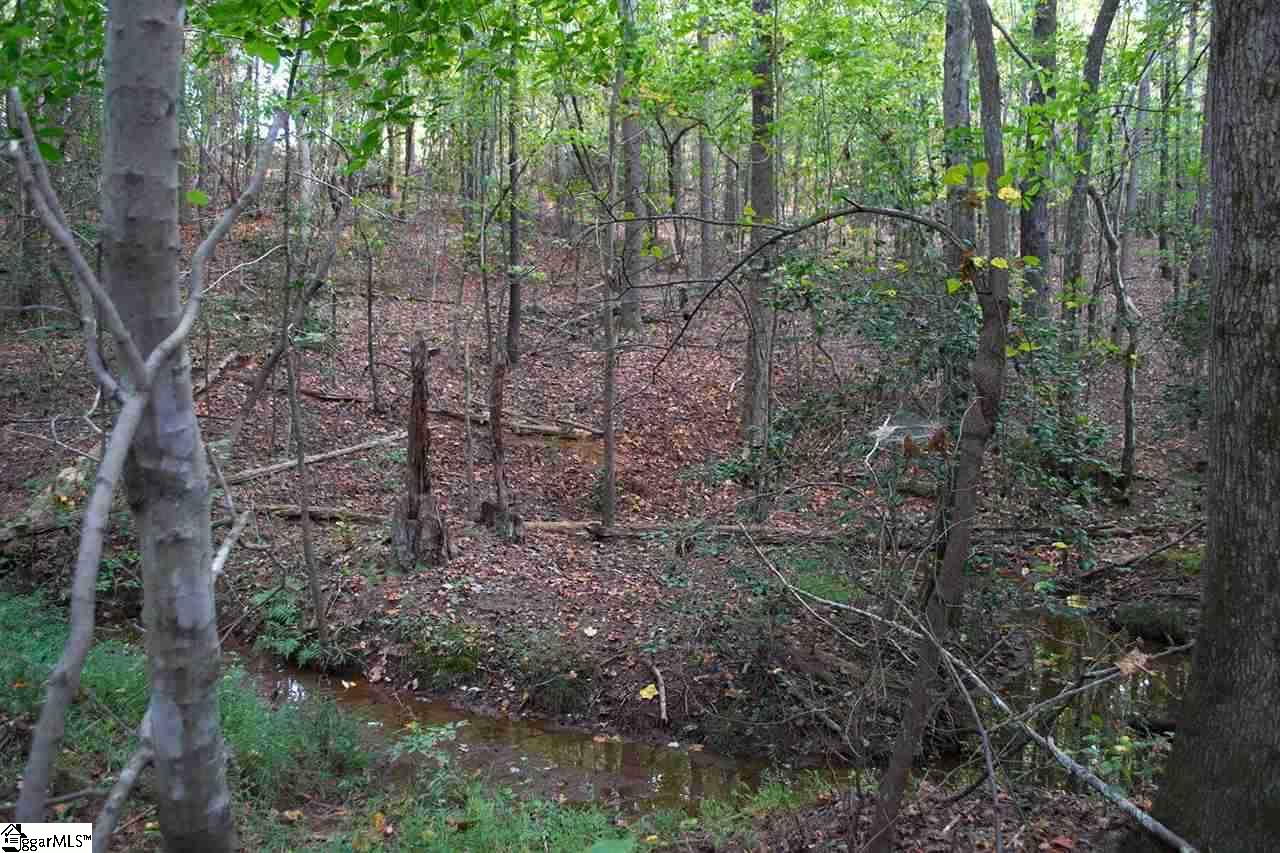 0 Henderson Hill Road Chesnee, SC 29323 - Photo 2 of 16
