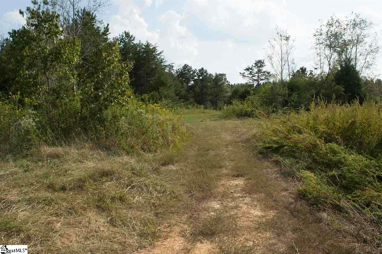 0 Henderson Hill Road Chesnee, SC 29323 - Photo 14 of 16