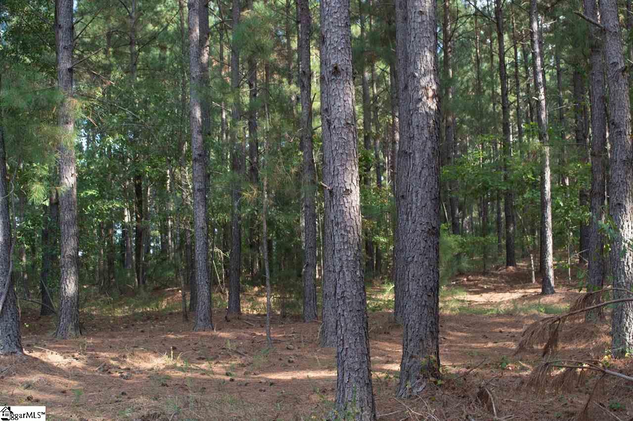 0 Henderson Hill Road Chesnee, SC 29323 - Photo 3 of 16