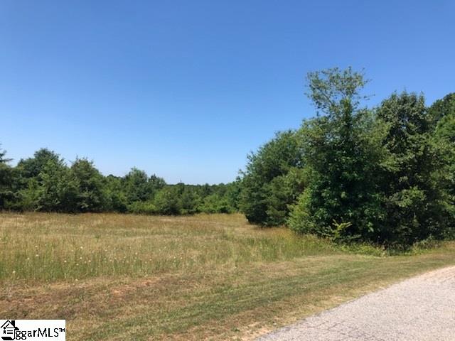 0 Henderson Hill Road Chesnee, SC 29323 - Photo 4 of 16