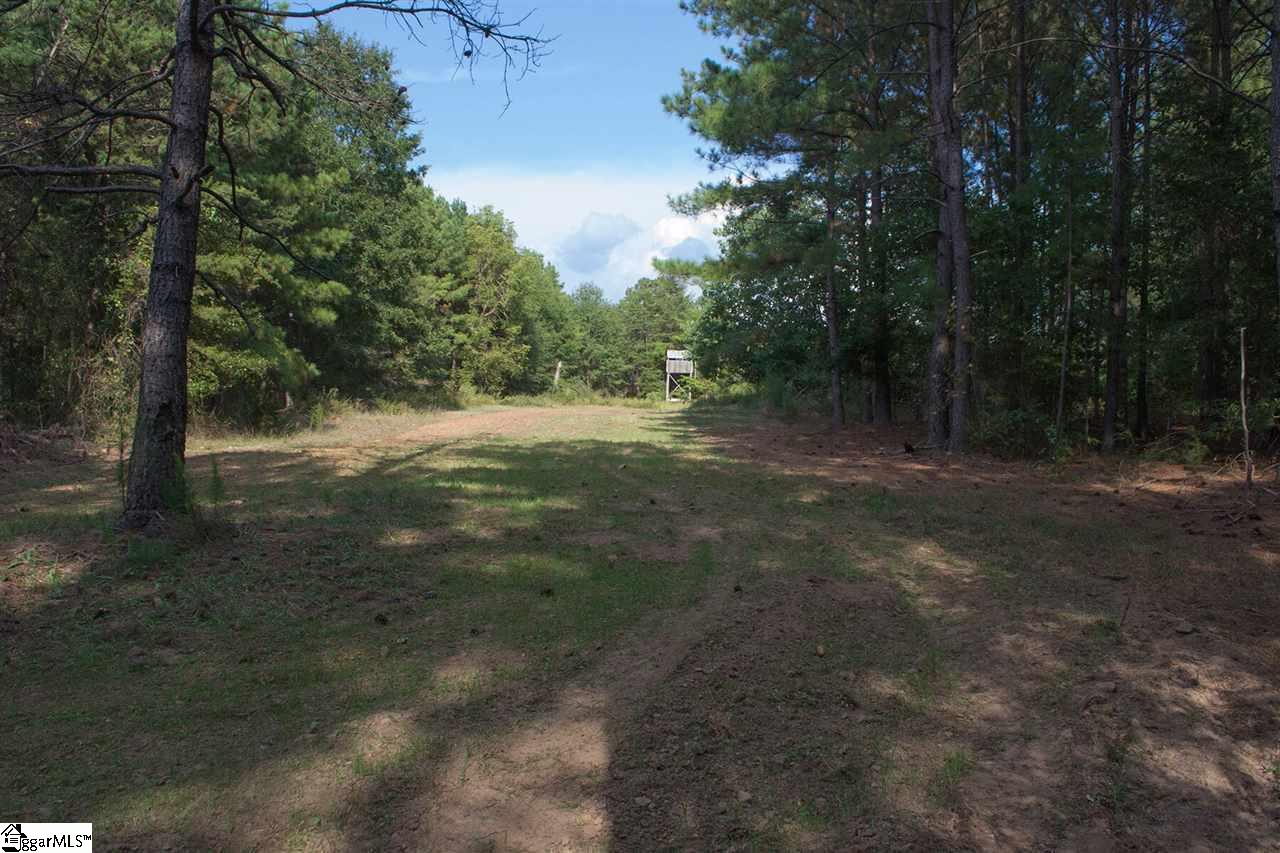 0 Henderson Hill Road Chesnee, SC 29323 - Photo 6 of 16