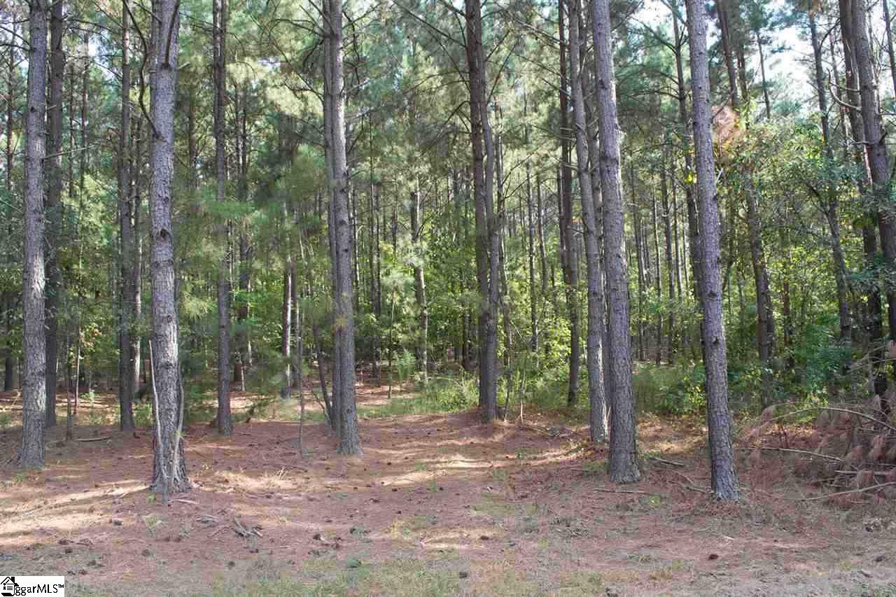 0 Henderson Hill Road Chesnee, SC 29323 - Photo 10 of 16