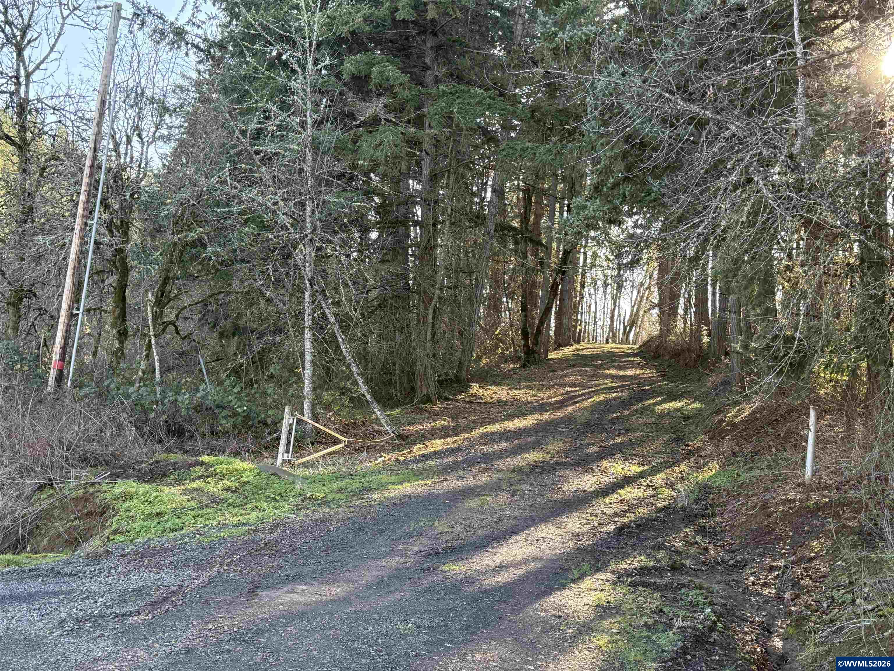 9900 South Wildcat Road Molalla, OR 97038 - Photo 11 of 20