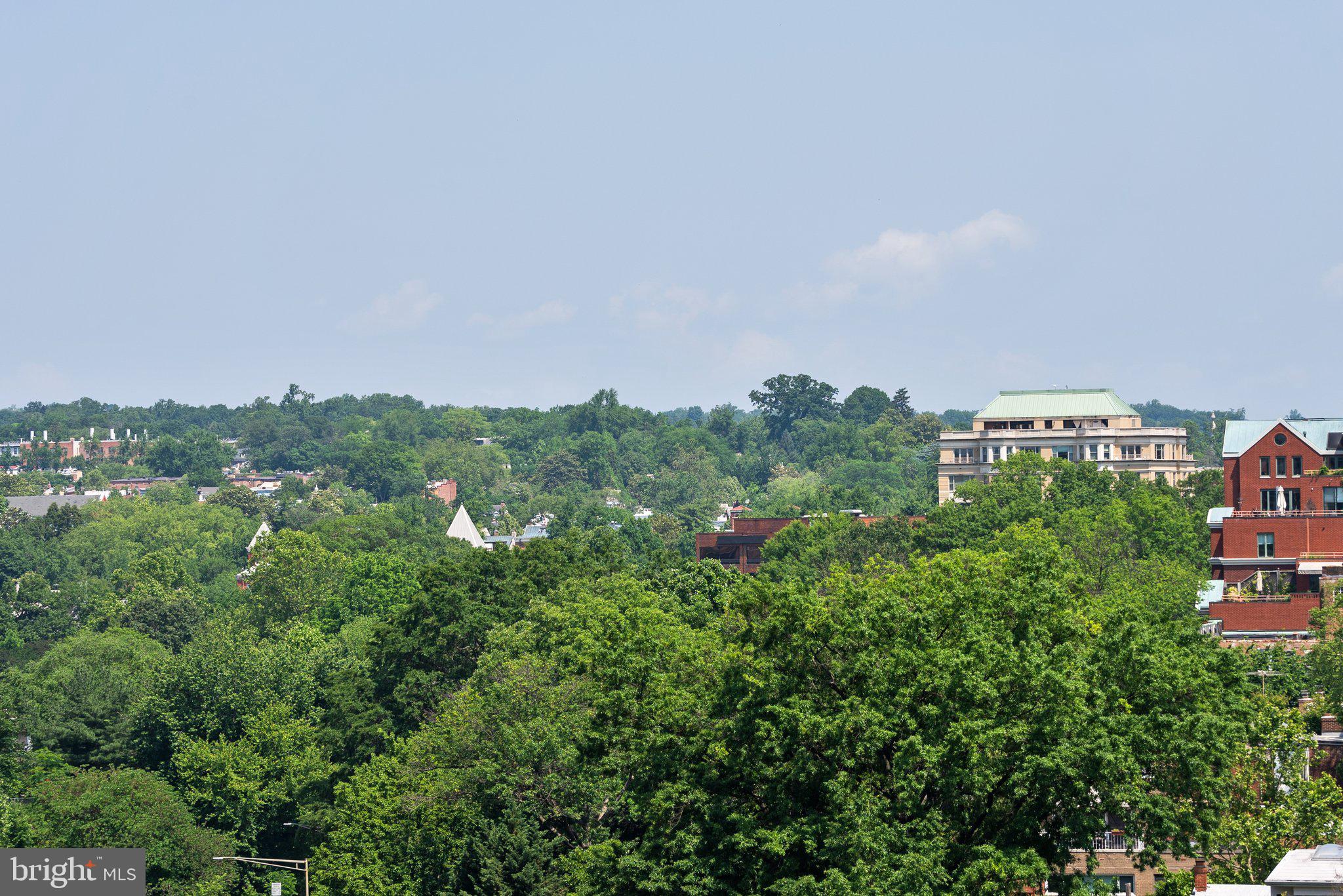 2500 Virginia Avenue Northwest, Unit 906S Washington, DC 20037 - Photo 2 of 39 a view of a city with lush green forest